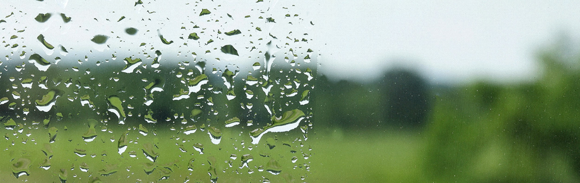 5th Generation Services Images