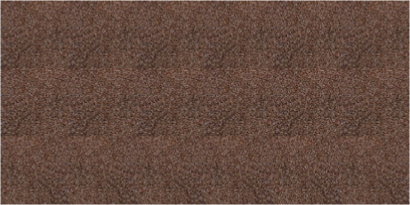 5th Generation Services Images