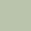 Tuscan Olive Images