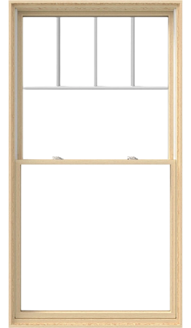 5th Generation Services Images